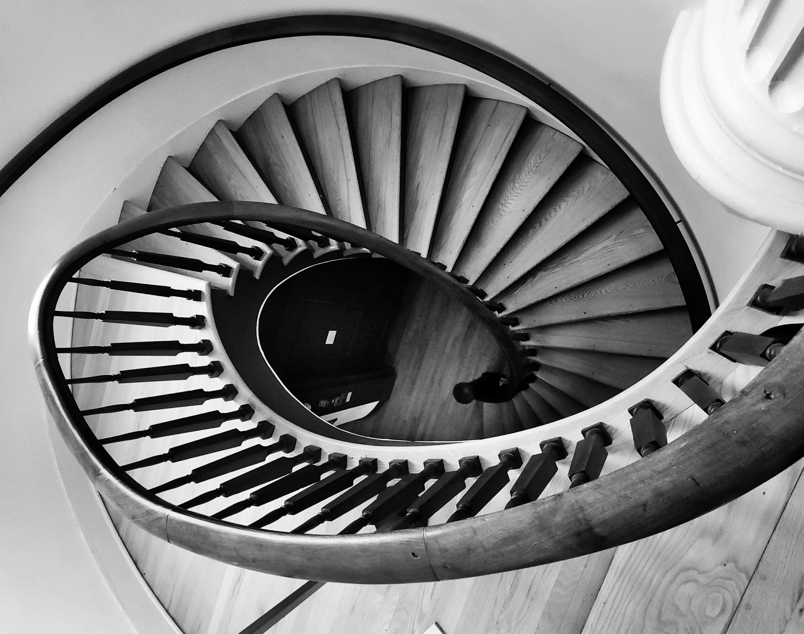 A Run with Black & White