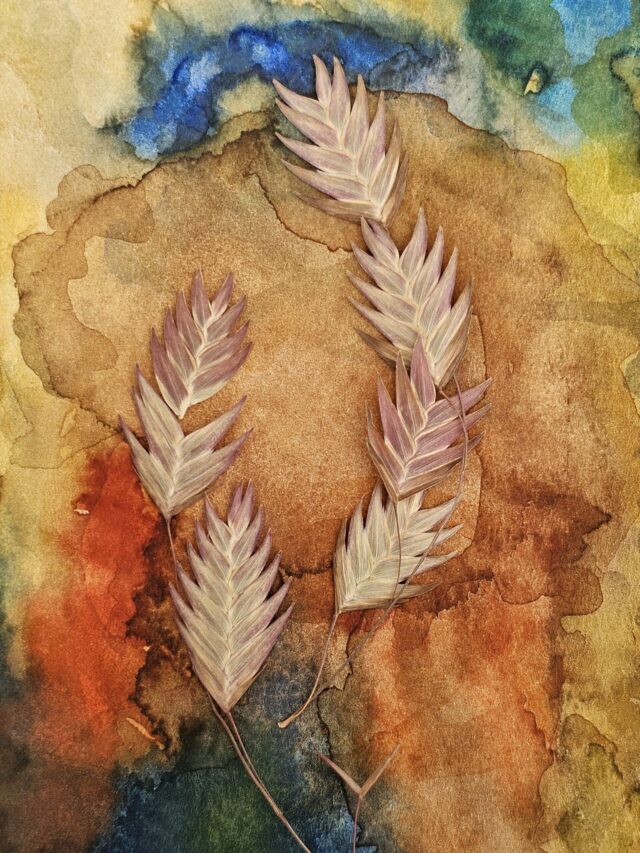 Pressed Memories: Oshibana